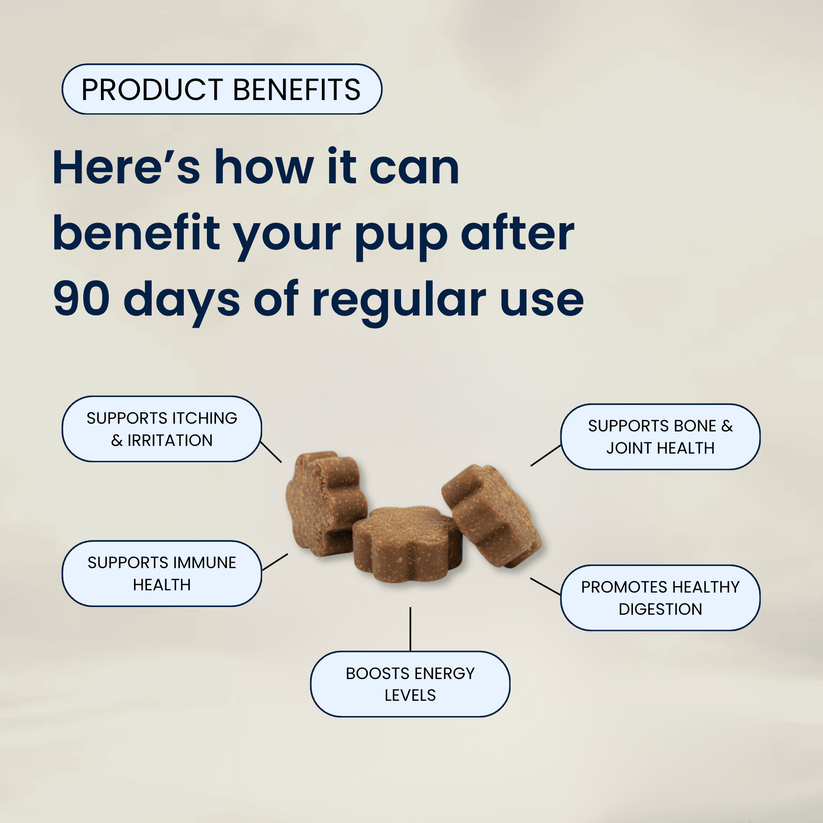 Puplabs Multivitamin™ Daily Soft Chews