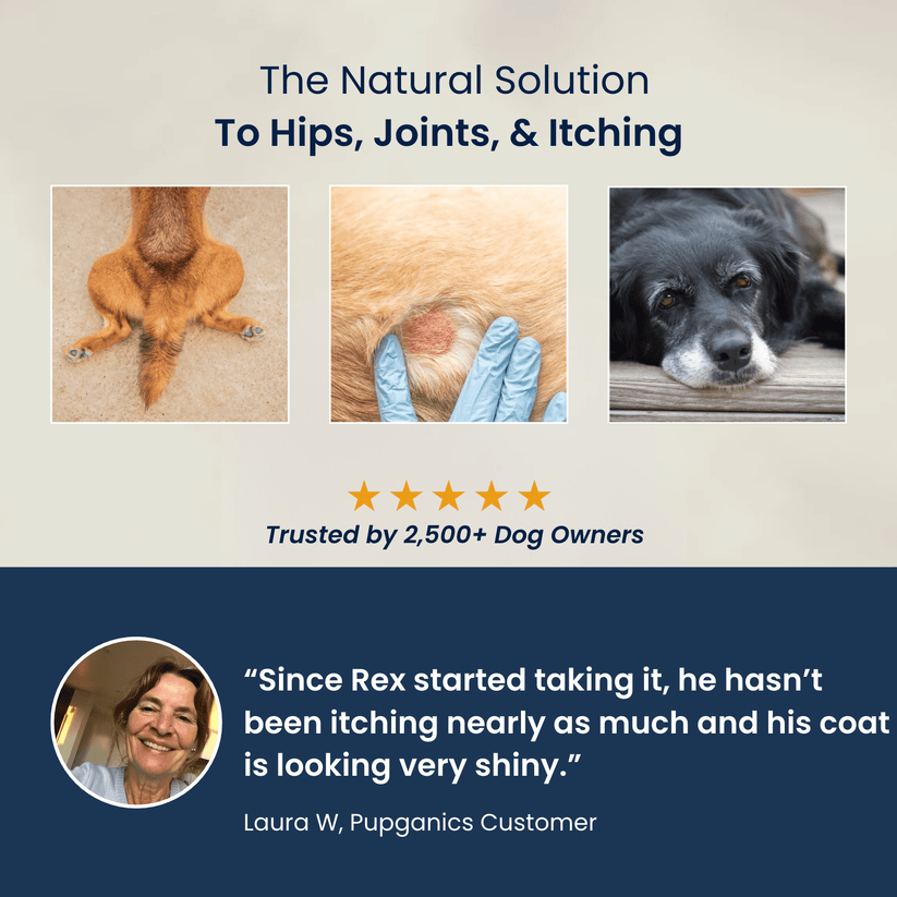 Puplabs Multivitamin™ Daily Soft Chews