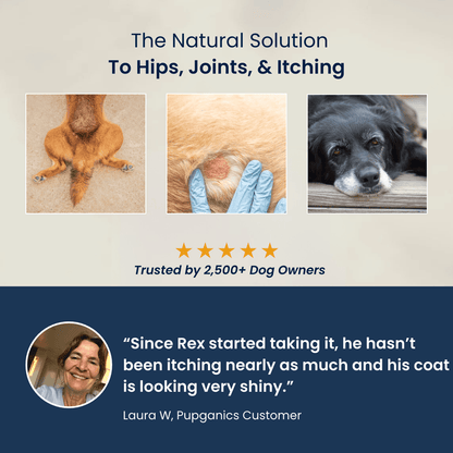 Puplabs Multivitamin™ Daily Soft Chews