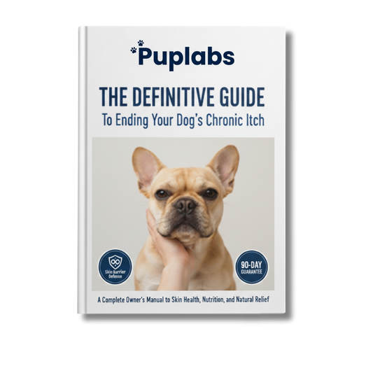 The Guide to Itch-Free Dogs